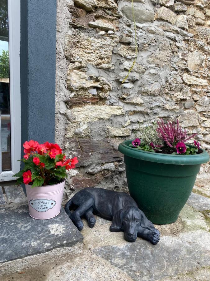 Sanctuary Lodge Cork Esterno foto